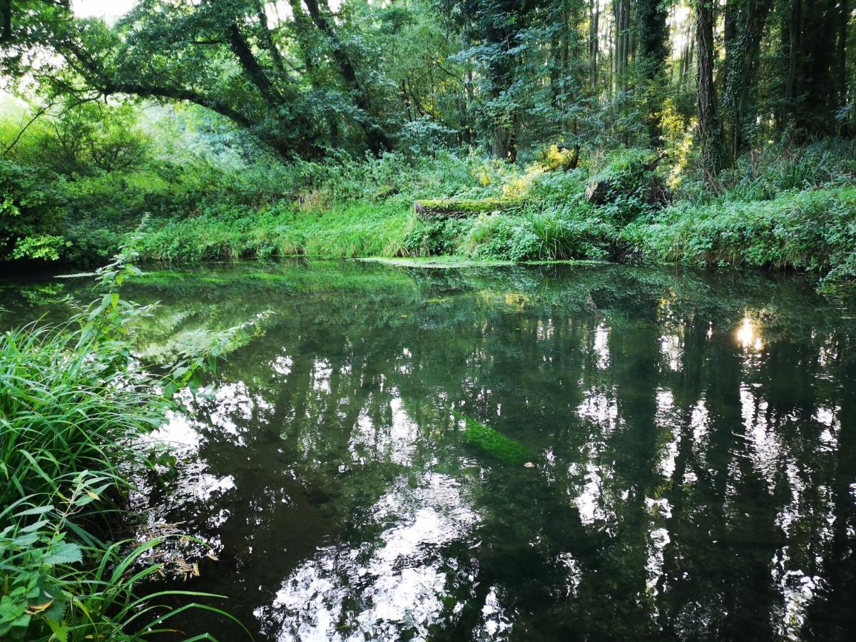 فيلا Otter 1 Huntersmoon-Warminster-Longleat-Wiltshire المظهر الخارجي الصورة
